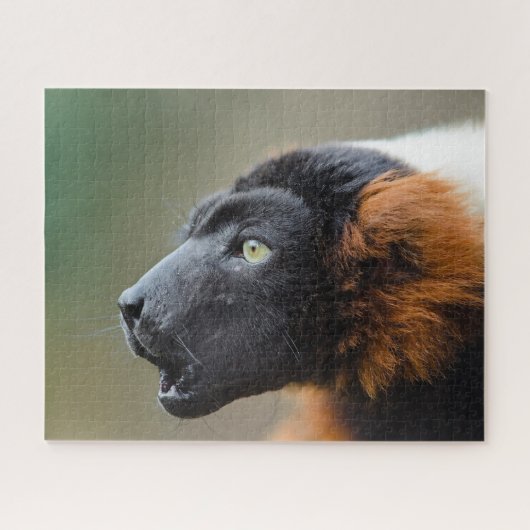 Rode vari legpuzzel (Horizontaal)