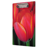 Rode veertulpen klembord (Links)