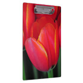 Rode veertulpen klembord (Rechts)