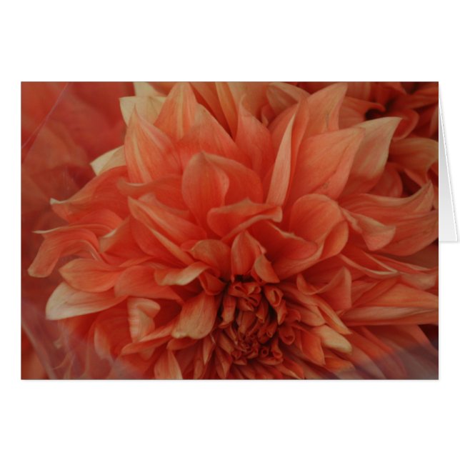 Rode ventilator *Blank (Voorkant Horizontaal)