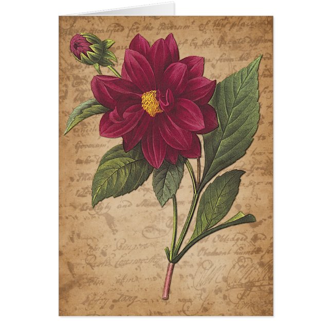 Rode ventilator en brief (Voorkant)