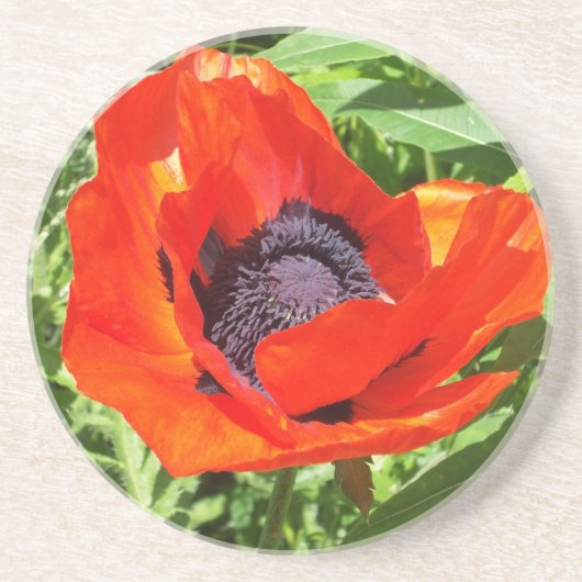 Rode ventilator in volbloei zandsteen onderzetter (Voorkant)