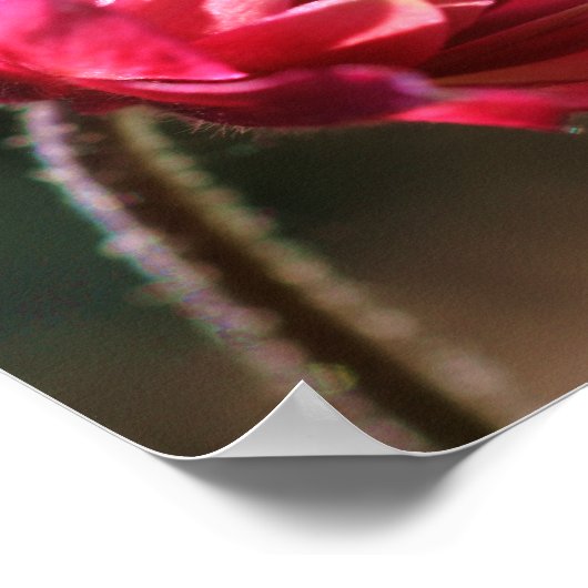 Rode ventilator in zonlicht dicht bij poster (Hoek)