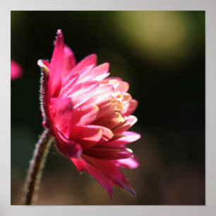 Rode ventilator in zonlicht dicht bij poster