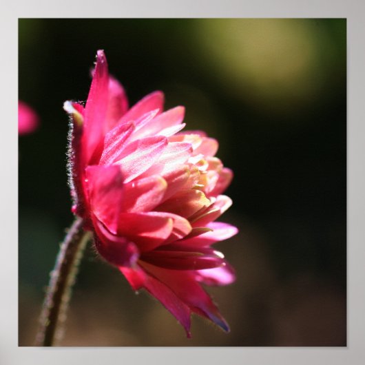 Rode ventilator in zonlicht dicht bij poster (Voorkant)