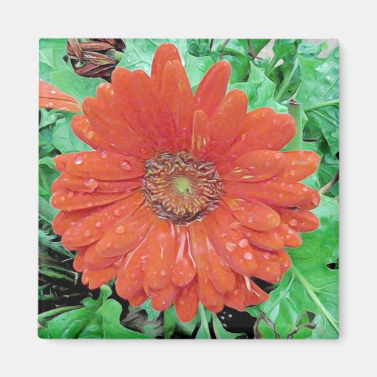  rode ventilator met regendruppels magneet (Voorkant)