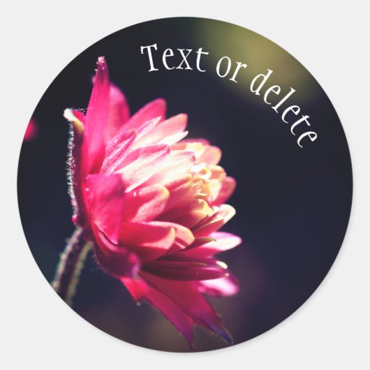 Rode ventilator zonlicht gepersonaliseerd ronde sticker (Voorkant)