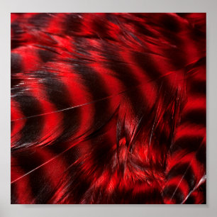 Rode veren poster