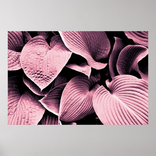 RODE VERLAAGD PLANT POSTER (Voorkant)