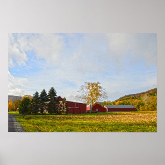Rode Vermont schuren in de herfst Poster (Voorkant)