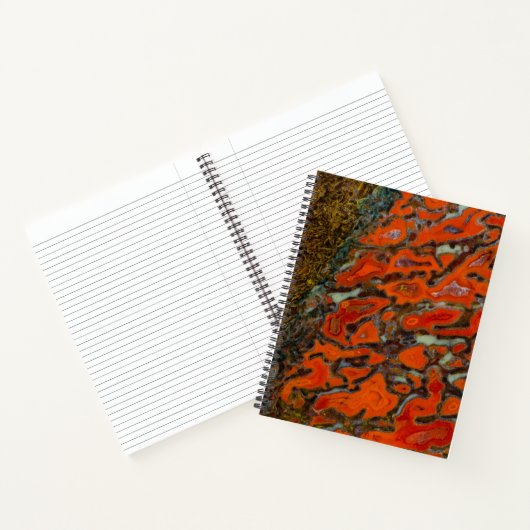 Rode versteende dinosaurusbot notitieboek (Binnen)