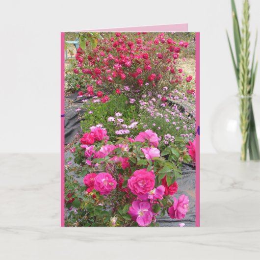 Rode Vintage Rozen Rozentuin bloemen Kaart (Voorkant)