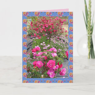 Rode Vintage Rozen Rozentuin bloemen Kaart