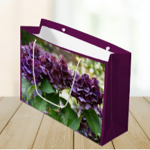 Rode Violet Hydrangea Bloeit Bloemig