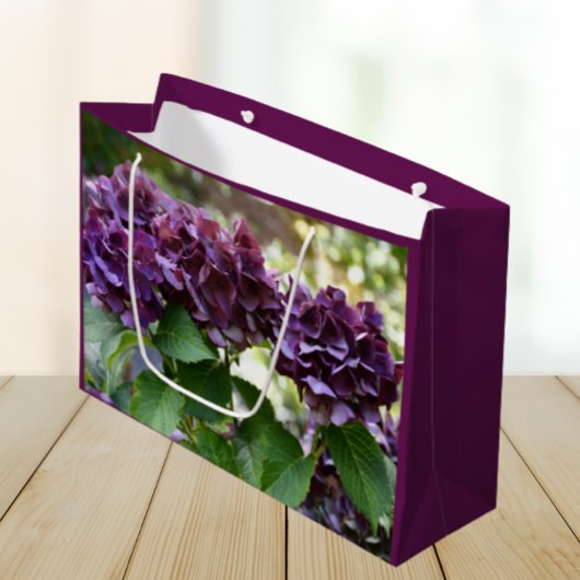 Rode Violet Hydrangea Bloeit Bloemig Groot Cadeauzakje