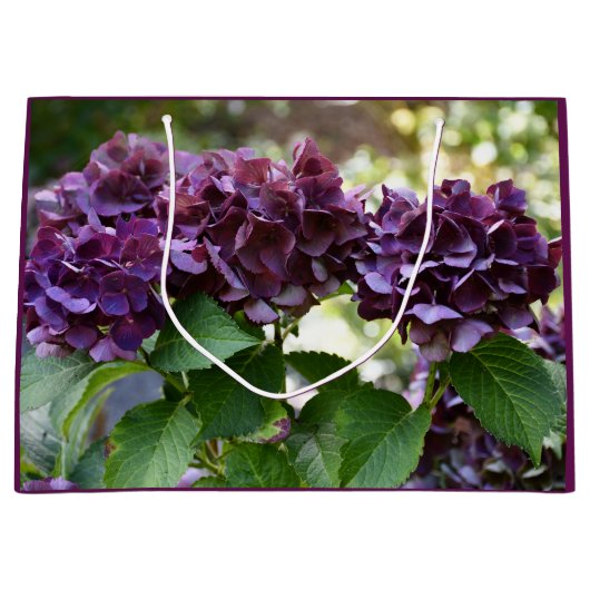Rode Violet Hydrangea Bloeit Bloemig Groot Cadeauzakje (Voorkant)