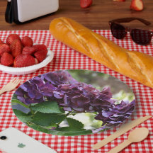 Rode Violet Hydrangea Bloeit Bloemig