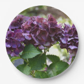 Rode Violet Hydrangea Bloeit Bloemig Papieren Bordje (Voorkant)