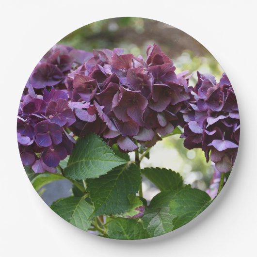 Rode Violet Hydrangea Bloeit Bloemig Papieren Bordje (Voorkant)