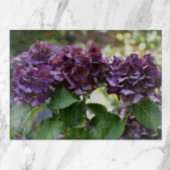 Rode Violet Hydrangea Bloeit Bloemig Snijplank