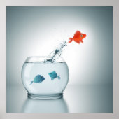 rode vis springt poster (Voorkant)