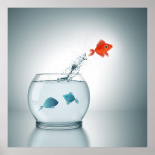 rode vis springt poster