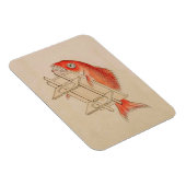  rode vis Yokai Magneet (Rechterzijde)