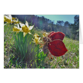 rode vleugelfee en daffodils