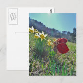 rode vleugelfee en daffodils briefkaart (Voorkant / Achterkant)