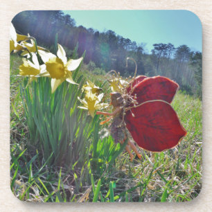 rode vleugelfee en daffodils onderzetter