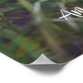 Rode vlieg-paddenstoel poster (Hoek)