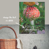 Rode vlieg-paddenstoel poster