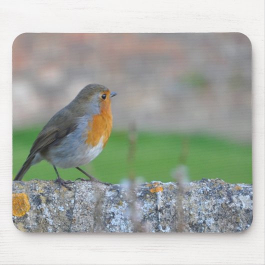 Rode vliegenvanger muismat (Voorkant)