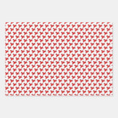 Rode vliegtuigen die op zondag papier overvallen inpakpapier vel (Voorkant)