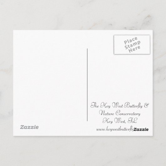  rode vlinder briefkaart (Achterkant)