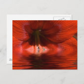 rode vloeistof briefkaart (Voorkant / Achterkant)