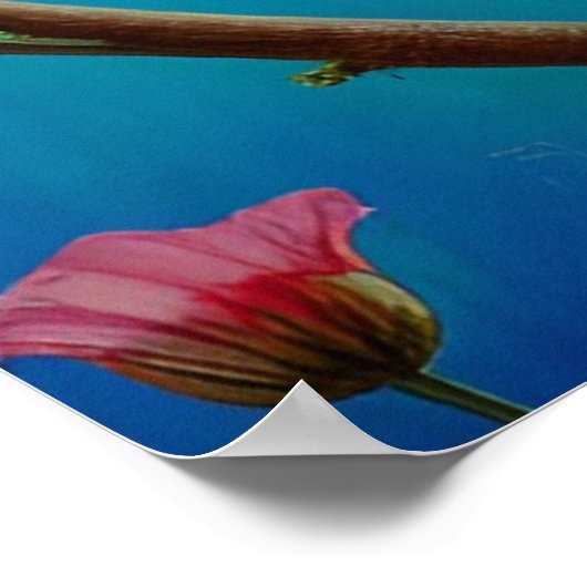 Rode vogel en bloemen poster (Hoek)