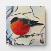 Rode vogel fotoplaat (Voorkant)