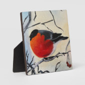 Rode vogel fotoplaat (Voorkant)