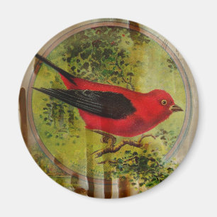  rode vogel magneet