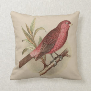 rode vogel op Branch Pillow Kussen
