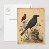 Rode Vogel & Raven Briefkaart (Voorkant / Achterkant)