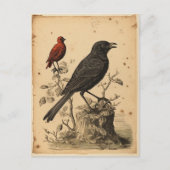  Rode Vogel & Raven Briefkaart (Voorkant)