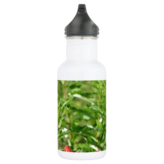 Rode vogelbloem waterfles (Rechts)
