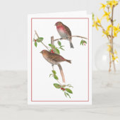 Rode vogels op een Berry Branch Kaart (Gele Bloem)