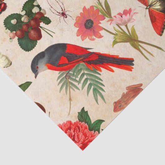 Rode vogelvlinder en paddenstoelontbinding tissuepapier (Detail)