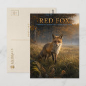 Rode Vos Bos Weiland DIEREN Briefkaart (Voorkant / Achterkant)