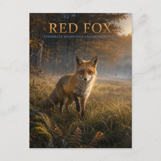 Rode Vos Bos Weiland DIEREN Briefkaart (Voorkant)