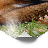 Rode vos en bladeren foto afdruk (Hoek)