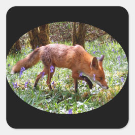 Rode Vos in bos met blauwe klokjes bosland wildlev Vierkante Sticker
